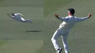 Photo of NZ vs ENG: ऐसा कैच देखा नहीं! ग्लेन फिलिप्स ने पकड़ी उड़ती हुई ‘चिड़िया’, देखने वालों को नहीं हो रहा यकीन