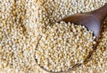 Photo of सेहत के लिए सुपरफूड से कम नहीं Quinoa