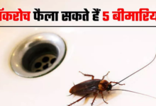 Photo of कॉकरोच से फैलने वाली 5 बीमारियां उड़ा देंगी होश