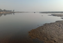 Photo of     दिल्ली : नवंबर तक अतिक्रमण मुक्त होगा यमुना नदी का डूब क्षेत्र