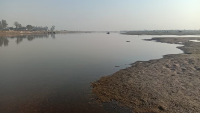 Photo of     दिल्ली : नवंबर तक अतिक्रमण मुक्त होगा यमुना नदी का डूब क्षेत्र