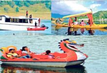 Photo of पौंग बांध में नहीं चलेगा क्रूज, शिकारा और पैडल बोट पर बनी बात
