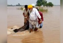 Photo of पंजाब में राहत नहीं:  बाढ़ का दायरा बढ़ा, 10 जिलों के 900 गांव चपेट में