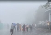 Photo of अलर्ट के बीच हिमाचल के कई भागों में झमाझम बारिश