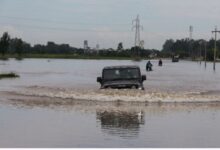Photo of पंजाब में तबाही:  बीबीएमबी चेयरमैन ने दी बड़ी नसीहत