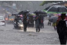 Photo of केरल में मूसलाधार बारिश से जनजीवन प्रभावित