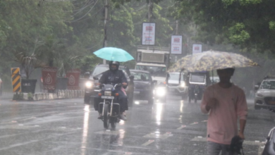 Photo of एमपी में स्ट्रॉन्ग सिस्टम सक्रिय, आज 12 जिलों में बारिश का अलर्ट
