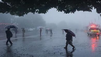 Photo of हिमाचल में इस तारीख से बिगड़ेगा मौसम, जल्द होगी बारिश और बर्फबारी