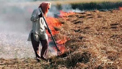 Photo of पंजाब में पराली जलाने के मामले घटे