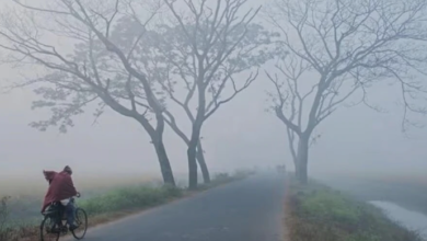 Photo of मध्य प्रदेश में ठंड ने तोड़ा 84 साल का रिकॉर्ड, शीतलहर का अलर्ट जारी