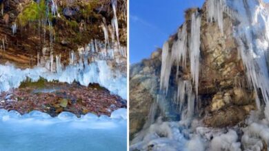 Photo of पहाड़ी क्षेत्रों में जम गए नाले-झरने, मैदानों में छाया कोहरा