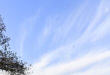 Photo of हिमाचल में कड़ाके की ठंड, ताबो में सीजन की सबसे ठंडी रात