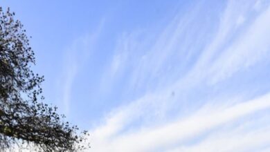 Photo of हिमाचल में कड़ाके की ठंड, ताबो में सीजन की सबसे ठंडी रात