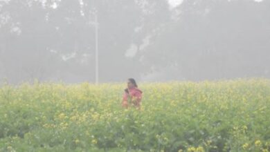 Photo of पंजाब में शीतलहर से गिरा पारा, तापमान में 2 डिग्री तक