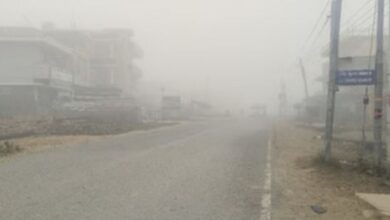 Photo of पंजाब में घने कोहरे का अलर्ट: तापमान में भी आएगी गिरावट