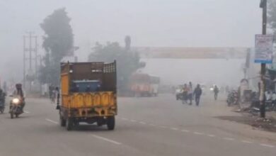 Photo of पंजाब में घने कोहरे का अलर्ट: 13 जिलों में धुंध से बढ़ेगी दिक्कत