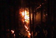 Photo of उत्तराखंड हाईकोर्ट ने जंगल की आग पर विशेषज्ञों से मांगा मार्गदर्शन