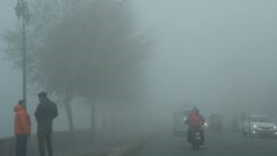 Photo of आज घने कोहरे का ऑरेंज अलर्ट, 30 और 31 दिसंबर को बारिश के आसार