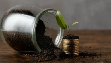 Photo of 20 साल बाद 1 करोड़ रुपए का फंड तैयार करने के लिए कितने रुपए की एसआईपी करनी होगी?