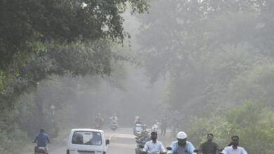 Photo of मध्यप्रदेश में बढ़ने लगी ठिठुरन, अगले दो दिन में पढ़ेगी कड़ाके की सर्दी