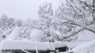 Photo of  हिमाचल में करवट बदल सकता है माैसम, तीन दिन बारिश-बर्फबारी के आसार, शीतलहर जारी