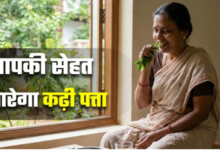 Photo of झड़ते बाल हों या बढ़ता वजन, रोज सुबह कढ़ी पत्ता खाने से 5 बड़ी परेशानियां होंगी छूमंतर