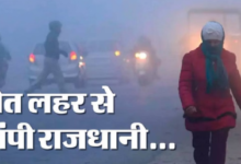 Photo of कोहरे की चादर से ढका पूरा प्रदेश, दृश्यता शून्य…गलन से जीवन बेहाल