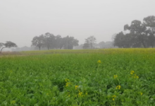 Photo of हरियाणा में कमजोर पश्चिमी विक्षोभ सक्रिय: 18 तक आंशिक रूप से बादल छाए रहेंगे