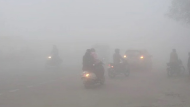 Photo of पंजाब में कड़ाके की ठंड: घने कोहरे से विजिबिलिटी शून्य, अमृतसर में लैंड नहीं हुई फ्लाइट्स