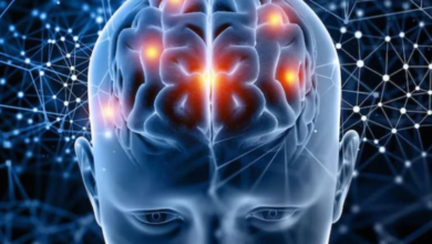 Photo of सिर्फ ‘आदत’ नहीं है बार-बार एक ही गलती दोहराना, दिमाग की सूजन हो सकती है इसकी असली वजह