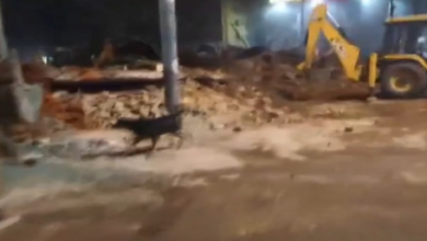 Photo of अतिक्रमण हटाने के लिए फैज-ए-इलाही मस्जिद के पास चला बुलडोजर