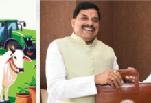 Photo of कृषि, शिक्षा, खेल से लेकर लाड़ली योजनाओं तक, मोहन सरकार ने किस सेक्टर को दी क्या सौगात?