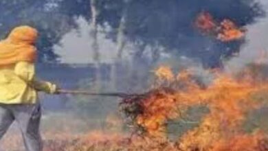 Photo of उत्तराखंड में जंगल की आग को लेकर सख्ती: खेतों में फसल अवशेष जलाने की समय सीमा त