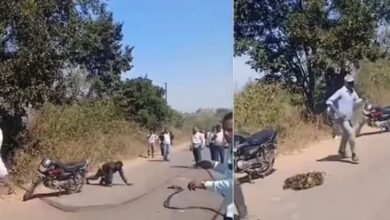 Photo of महाराष्ट्र में रेबीज से पीड़ित युवा करने लगा कुत्ते जैसी हरकतें