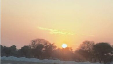 Photo of हरियाणा में फरवरी में अप्रैल जैसी गर्मी सताने लगी: 32 डिग्री तक पहुंचा था तापमान