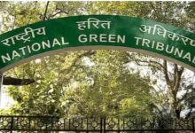 Photo of हरियाली की सौगात: नीलोठी गांव को मिलेगी शुद्ध हवा, लगाए गए एक हजार पौधे