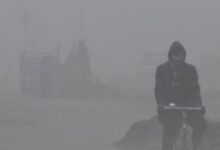 Photo of मौसम में ठहराव…लेकिन सर्दी से नहीं मिलेगी राहत, कोहरे के साथ बूंदाबांदी के आसार