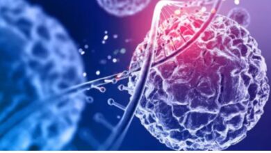 Photo of कैंसर के इलाज में बड़ी कामयाबी: IIT बॉम्बे ने खोजा टी-सेल्स को सुरक्षित रखने का नया तरीका