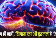 Photo of शरीर में फैट का संतुलन बिगड़ने से दिमाग की नसें हो जाती हैं कमजोर