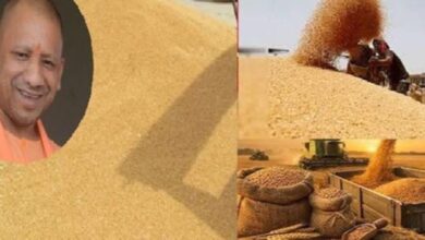 Photo of  30 मार्च से गेंहू की होगी खरीद, सरकार ने प्रति क्विंटल की दर से बढ़ाई है MSP