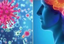Photo of क्या है मेनिंगोकोकल डिजीज और किन लोगों को है इससे सबसे ज्यादा खतरा?