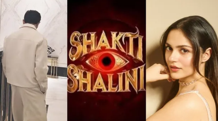 Photo of अनीत पड्डा की Shakti Shalini में ‘खलनायक’ की हुई एंट्री